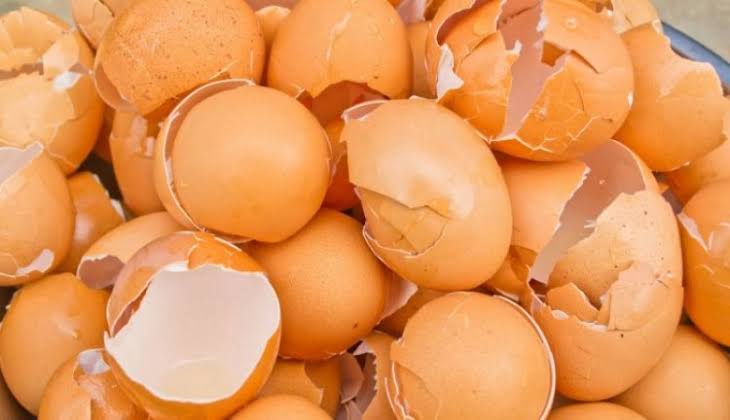 Pemanfaatan Limbah Cangkang Telur